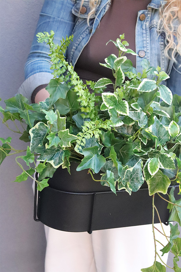 Bluszcz Modern, kompozycja roślinna w donicy na balkon