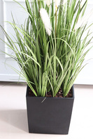 Dania Cube, kompozycja z traw pampasowych w czarnej donicy, wys.118cm