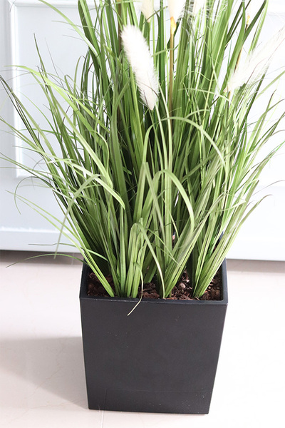 Dania Cube, kompozycja z traw pampasowych w czarnej donicy, wys.118cm