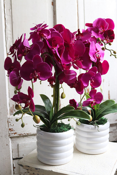 Hetra Fuksja, sztuczny storczyk w białej donicy, wys.56cm