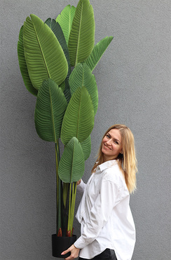 Bananowiec, sztuczne drzewko w osłonce donicy, wys.180cm 