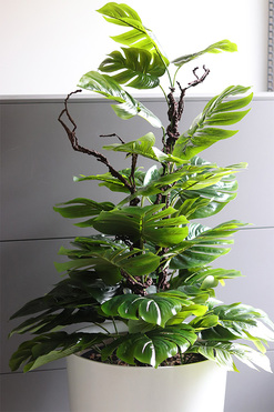 drzewko sztuczne Monstera Mediolan w donicy, wys.156cm