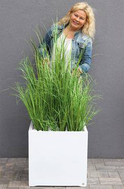 Fiberglass Quartet, sztuczne trawy w białej donicy, wys.145cm