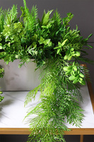 Krelia Saute, sukulenty do twojej donicy