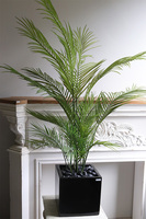 Palma Fiberglass, sztuczna roślina w czarnej donicy