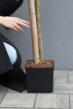 Drzewko Oliwne / Oliwka, sztuczne drzewko w osłonce, wym.196cm 