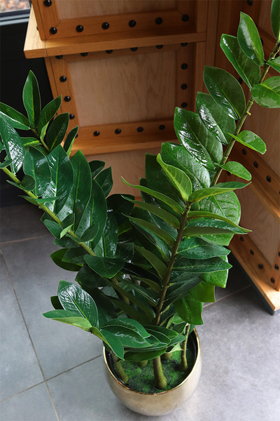 Zamiokulkas Gold, sztuczna roślina w doniczce