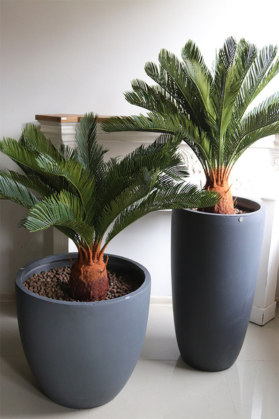 Cykas Concrete, sztuczna roślina w betonowej donicy