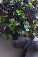 Black Velvet Roses Deluxe, elegancka kompozycja w misie