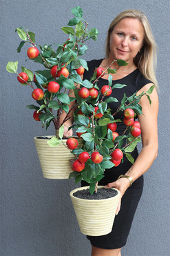 sztuczne drzewko Jabłonka, wys.60cm 