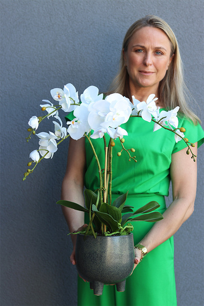 sztuczny storczyk w ceramicznej donicy, Paragwaj Nelista