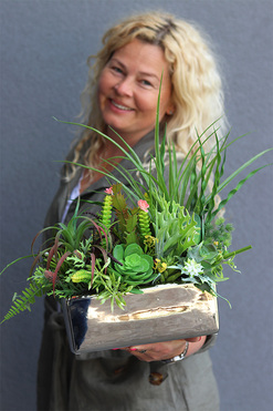 Silver Terana, kompozycja sukulenty w lustrzanej donicy, wys.42cm 