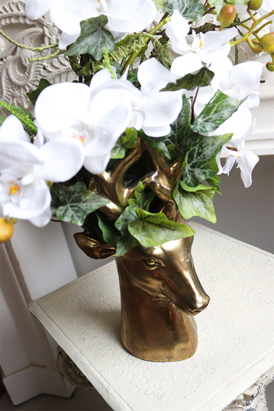 Golden Ren, kompozycja ze storczyków