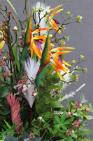 Feretia Modern Classico, kompozycja ze strelicją w czerwonej donicy