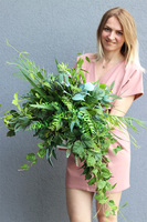 Wedding, zielona kompozycja do twojej donicy