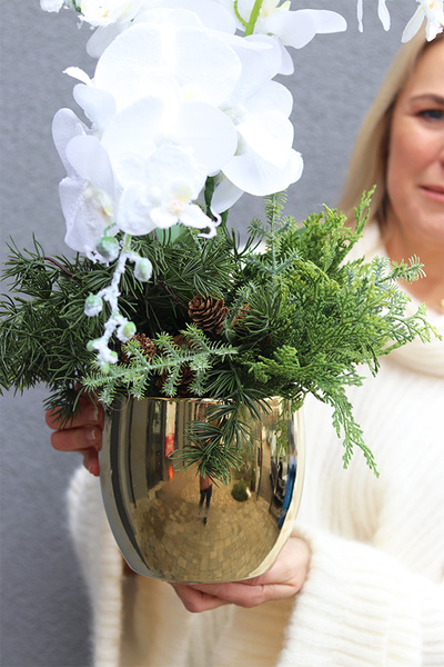 White Snow, elegancki storczyk zimowy