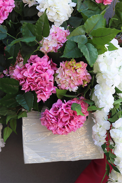 Impresja Saute, kompozycja kwiatowa XXL do Twojej donicy