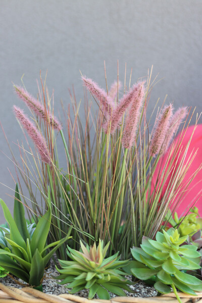 Rattania Alabama Big, kompozycja z traw i sukulentów w koszu, wym.47x45cm