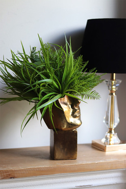 Suculentas Espana A, sukulenty w głowie kompozycja, wys.40cm