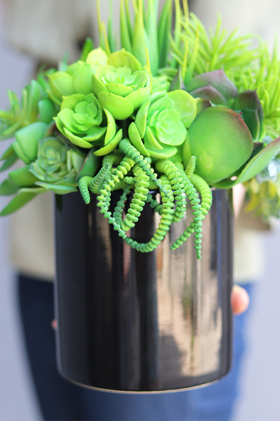 Black Tenamo Figaro, kompozycja sukulenty w donicy, wys.29cm