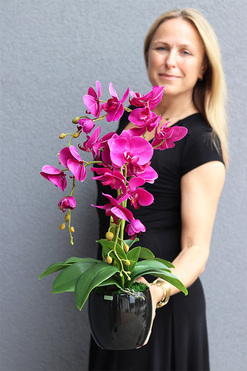 Fuksja Nemia, sztuczny storczyk w czarnej doniczce, wys.59cm  