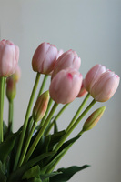 Golden Palace Tulips, nowoczesna wiosenna dekoracja