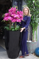 Black Grande Fuscia, storczyk silikonowy w donicy fiberglass