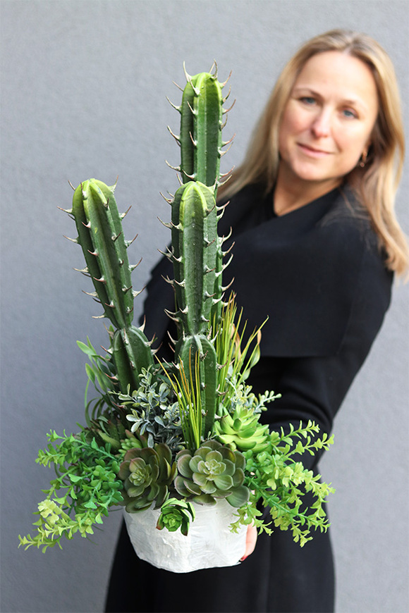 Cacti Saute B, sukulenty z kaktusem w stretchu, wys.68cm