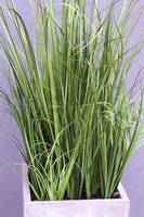 Concrete Simple, sztuczna trawa w betonowej donicy