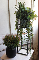 Cybilla, kompozycja sukulenty w donicy na stojaku, wys.69cm