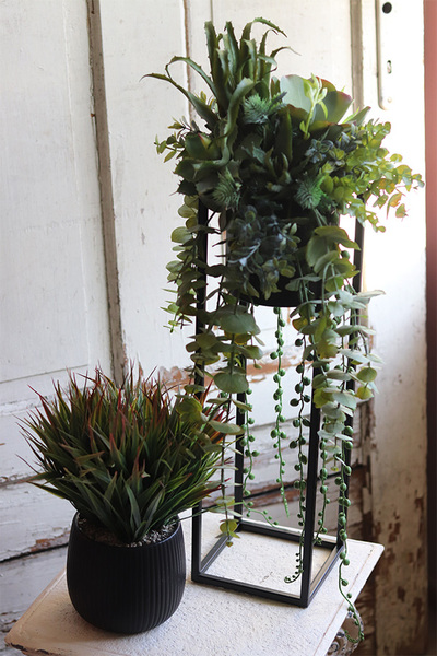 Cybilla, kompozycja sukulenty w donicy na stojaku, wys.69cm