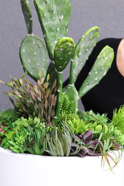 Desideria 2 Cacti Fiberglass, sukulenty z kaktusem w białej donicy, wys. 92cm
