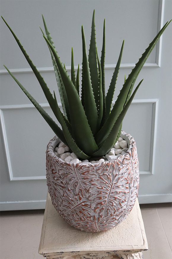 Monsterro Aloes, sztuczna roślina / sukulent w donicy clayfibre, wys.78cm