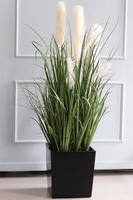 Dania Cube, kompozycja z traw pampasowych w czarnej donicy, wys.118cm