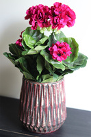 Pelargonie Bosco Pink, kompozycja kwiatowa w wazonie