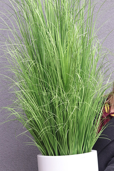 Fiberglass Green Grass, trawa w donicy fiberglass