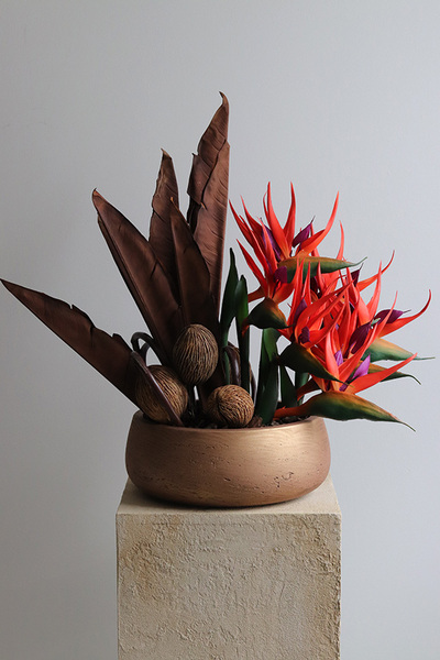 Strelicja Paradiso, nowoczesna dekoracja w misie