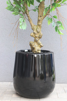 Fikus Benjamin Black, sztuczne drzewko w donicy fiberglass