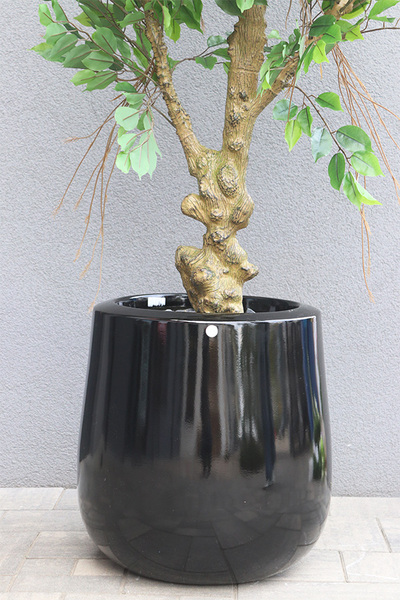 Fikus Benjamin Black, sztuczne drzewko w donicy fiberglass