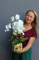 Złota Dolina, sztuczny storczyk w donicy kwadratowej duży, wys.55cm