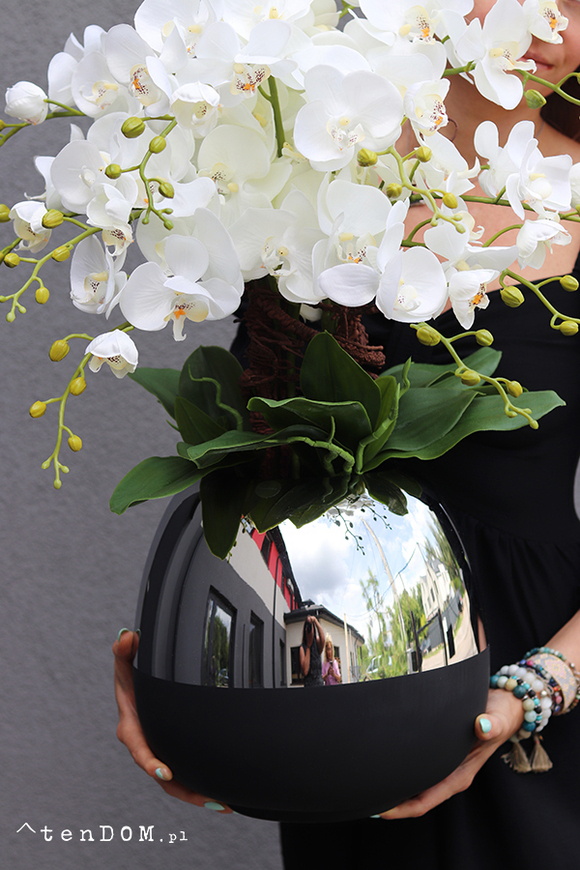 Patras, storczyk w szklanym naczyniu