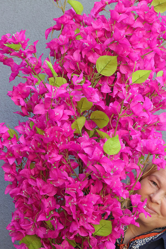 Bugenwilla, sztuczna roślina w doniczce