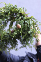 Tuja Natural, zimowy wianek zielony sufitowy