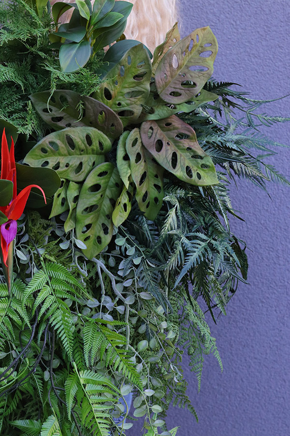 Streliziano Jungle, bogaty zielony wianek obraz