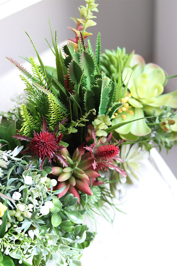 kompozycja sukulenty w długiej donicy, Hektor D, dł.48cm