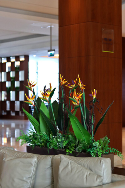 Silver Hilton Strelicja Long, egzotyczna dekoracja w stalowej donicy