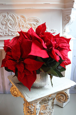 Gwiazda Betlejemska Srebro 2, wysokiej jakości sztuczna roślina, wys.37cm