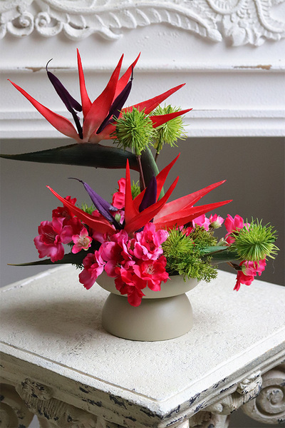 Strelicja Mini, nowoczesna kompozycja w pucharze