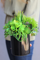 Black Tenamo Figaro, kompozycja sukulenty w donicy, wys.29cm