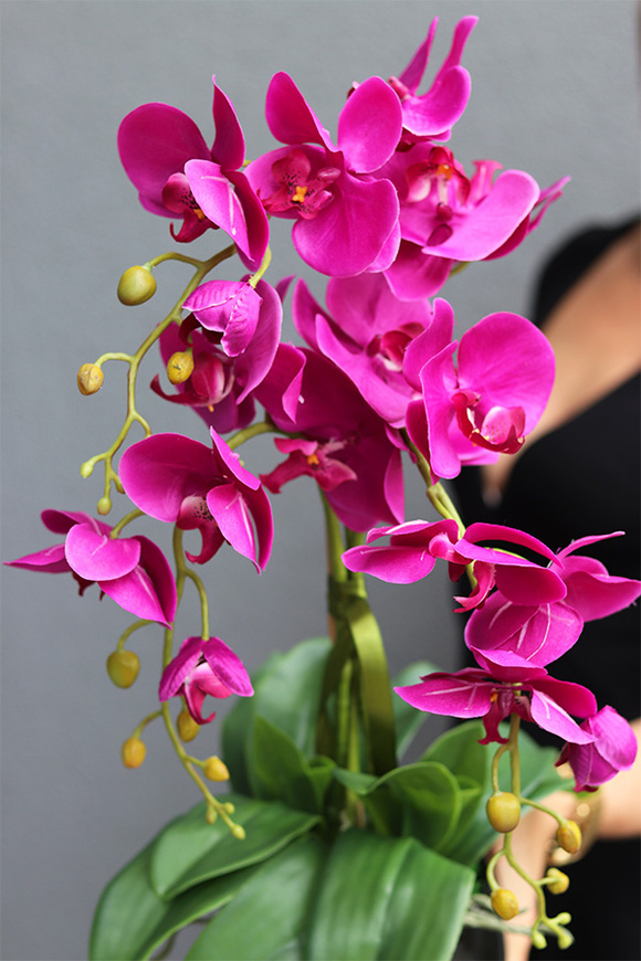 Fuksja Nemia, sztuczny storczyk w czarnej doniczce, wys.59cm  